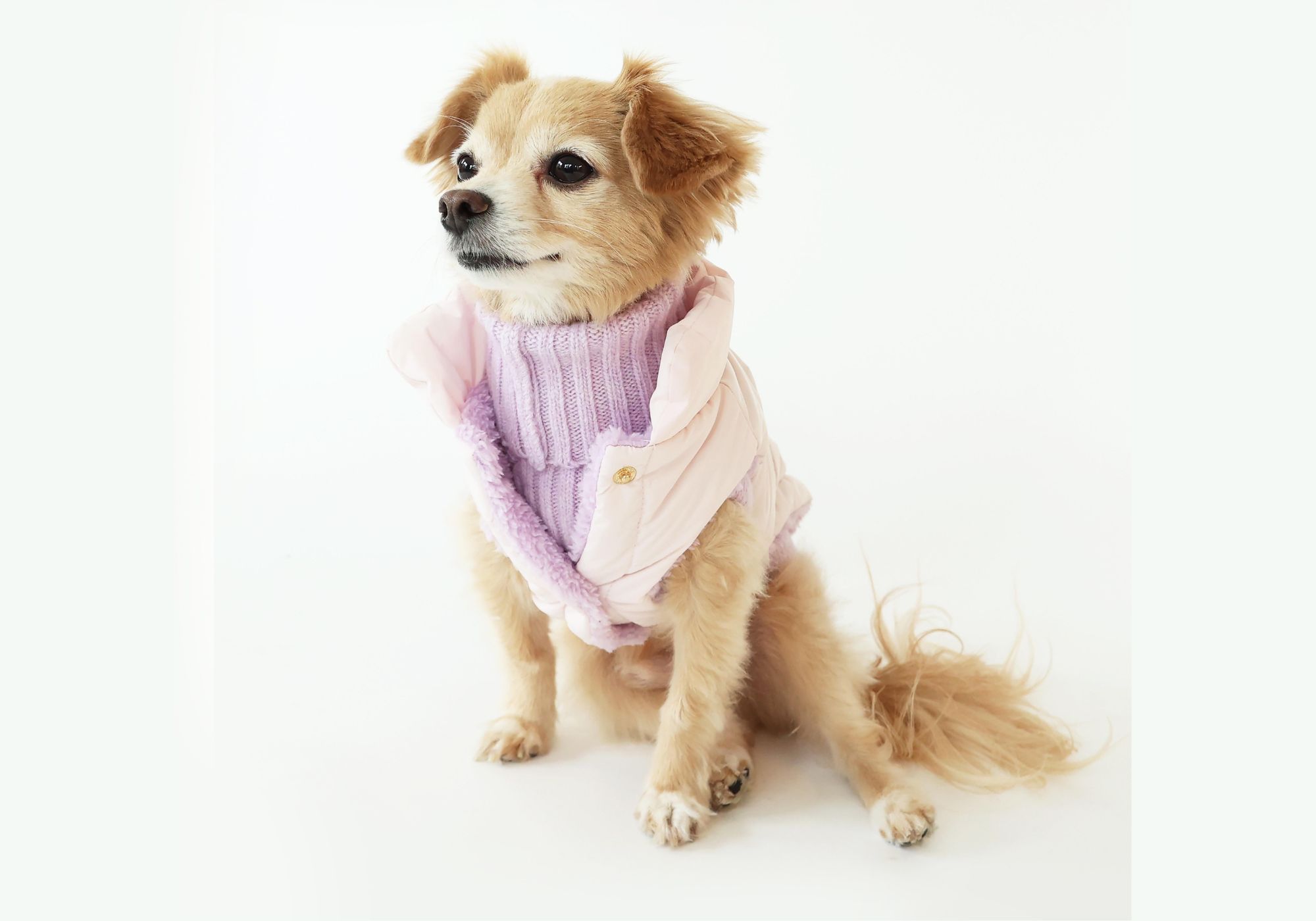 The Pup Shop: Designer Pet Apparel & Accessories